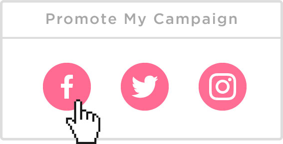 Promote your campaign.