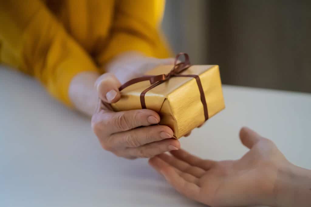 Female hands hold and give a nice packed gift